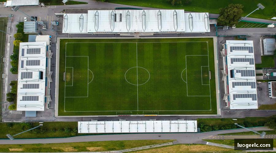 Ray竞技官网一键开启，随时随地看直播！📱